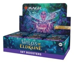 MTG: Wilds Of Eldraine Set Box